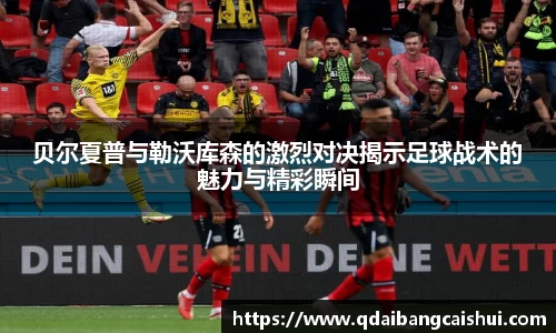 星空·综合体育官方网站